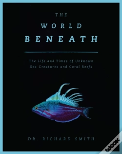Capa do artigo The World Beneath