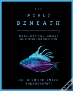 Capa do artigo The World Beneath