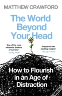 Capa do artigo The World Beyond Your Head