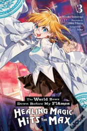 Capa do artigo The World Bows Down Before My Flames, Vol. 3 (Novel)