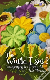 The World I See 2
