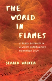 Capa do artigo The World In Flames