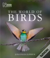 The World Of Birds