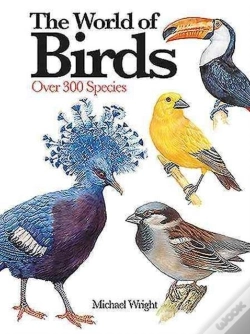 Capa do artigo The World Of Birds