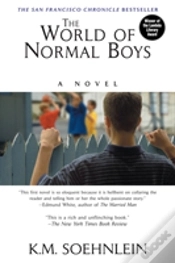 Capa do artigo The World Of Normal Boys
