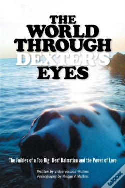 Capa do artigo The World Through Dexter'S Eyes