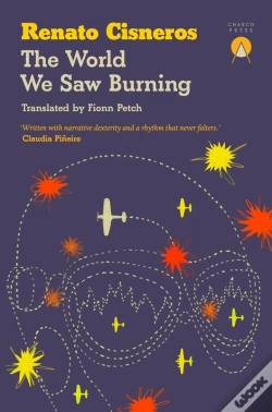 Capa do artigo The World We Saw Burning