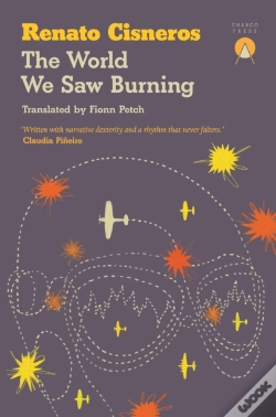 Capa do artigo The World We Saw Burning
