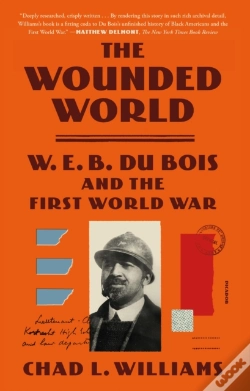 Capa do artigo The Wounded World