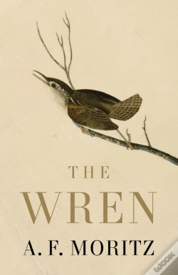 Capa do artigo The Wren