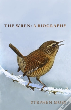 Capa do artigo The Wren
