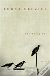 Capa do artigo The Wrong Cat