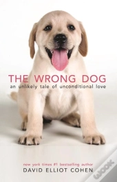 The Wrong Dog