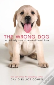 Capa do artigo The Wrong Dog