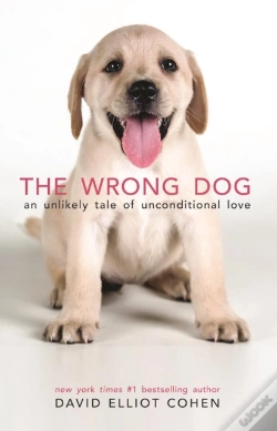 Capa do artigo The Wrong Dog