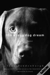 Capa do artigo The Wrong Dog Dream