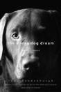 The Wrong Dog Dream - Preview