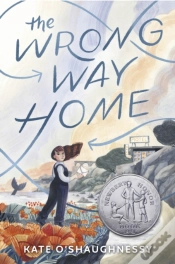 Capa do artigo The Wrong Way Home