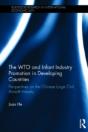 The Wto And Infant Industry Promotion In Developing Countries - Preview
