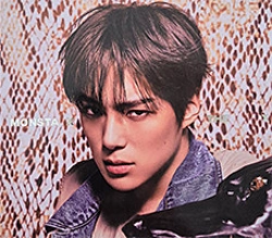 Capa do artigo THE X - CD