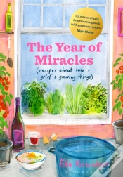 Capa do artigo The Year Of Miracles
