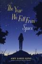 The Year We Fell From Space - Preview
