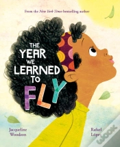 Capa do artigo The Year We Learned To Fly