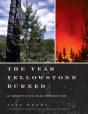The Year Yellowstone Burned - Preview