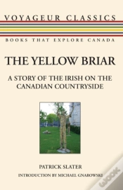Capa do artigo The Yellow Briar
