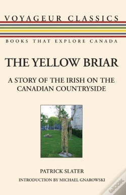 Capa do artigo The Yellow Briar