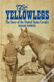Capa do artigo The Yellowlegs