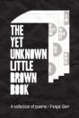 The Yet Unknown Little Brown Book - Preview