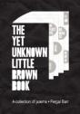 The Yet Unknown Little Brown Book - Preview