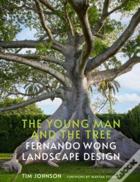 The Young Man And The Tree