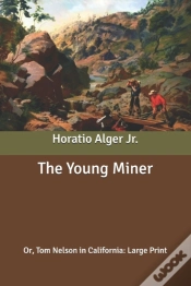 Capa do artigo The Young Miner