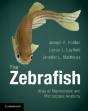 The Zebrafish - Preview