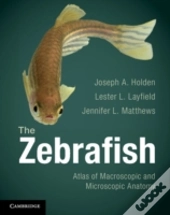 The Zebrafish