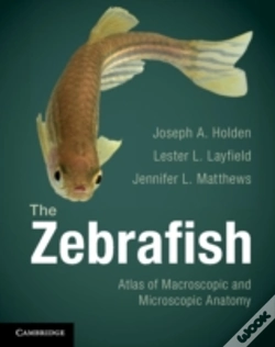 Capa do artigo The Zebrafish