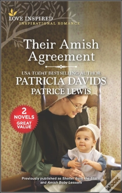 Capa do artigo Their Amish Agreement
