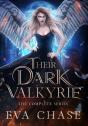 Their Dark Valkyrie - Preview