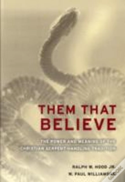 Capa do artigo Them That Believe