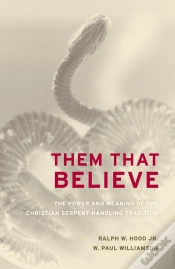 Capa do artigo Them That Believe