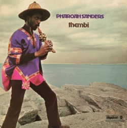 Capa do artigo Thembi - Vinil