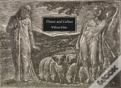 Capa do artigo Thenot And Colinet