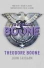 Theodore Boone - Preview