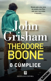Capa do artigo Theodore Boone: O Cúmplice