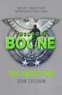Theodore Boone: The Abduction - Preview
