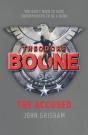 Theodore Boone: The Accused - Preview