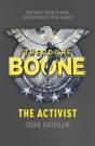 Theodore Boone: The Activist - Preview