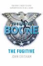 Theodore Boone: The Fugitive - Preview